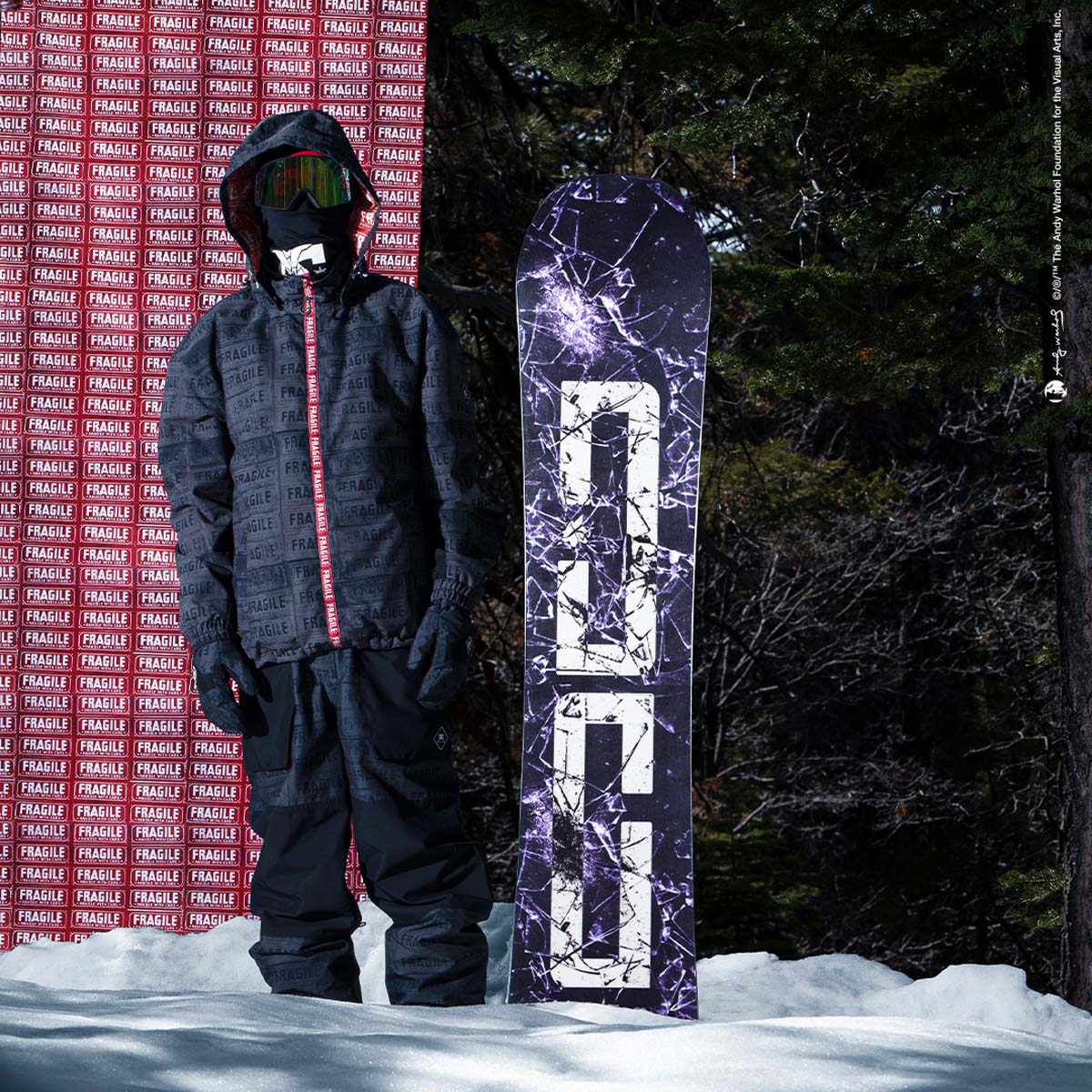 DC SNOWBOARDING × アンディ・ウォーホル、コラボコレクション発売