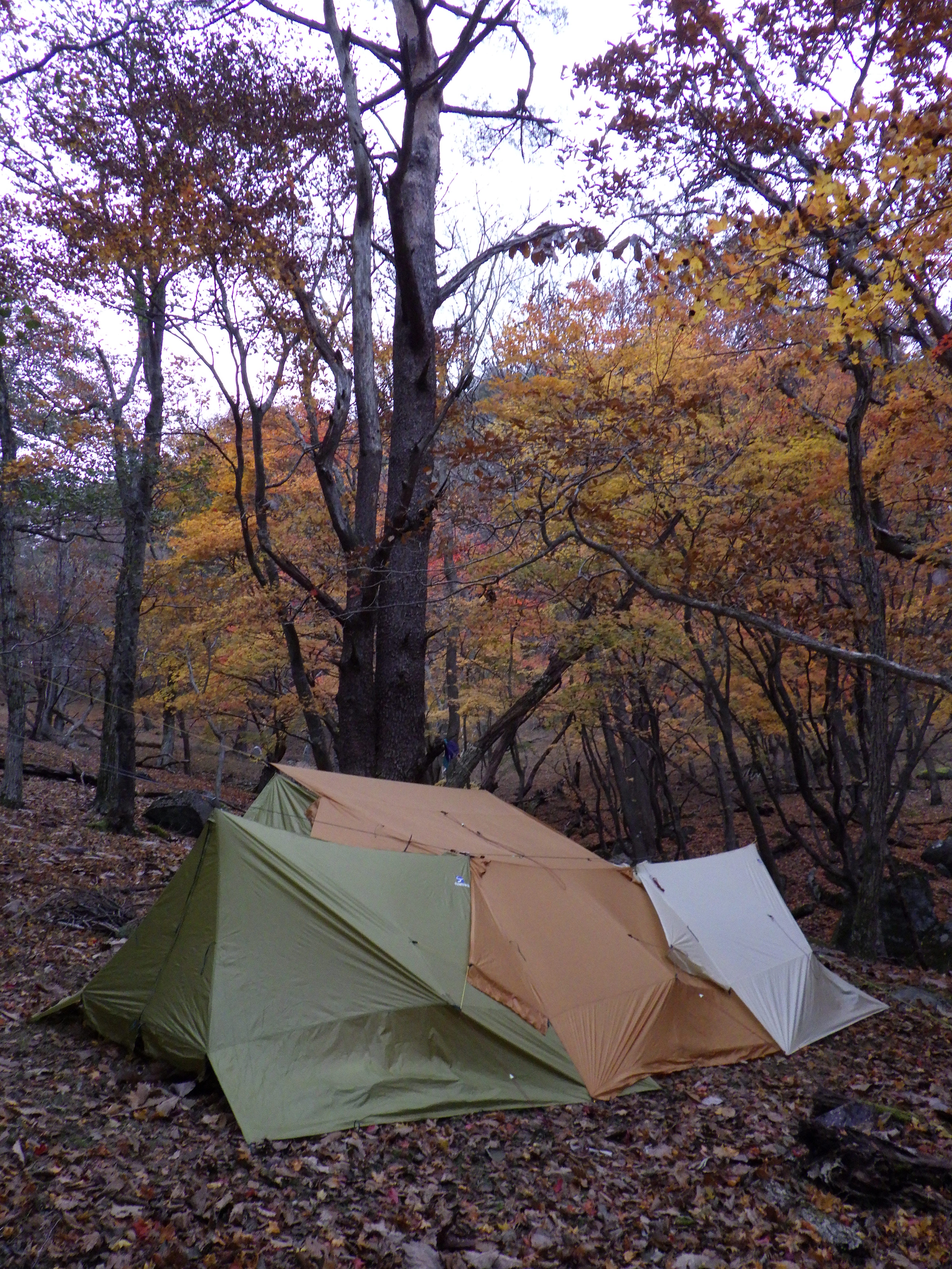 Zelt II Long |ツェルト2ロング－Hiker's Depot｜ハイカーズデポ