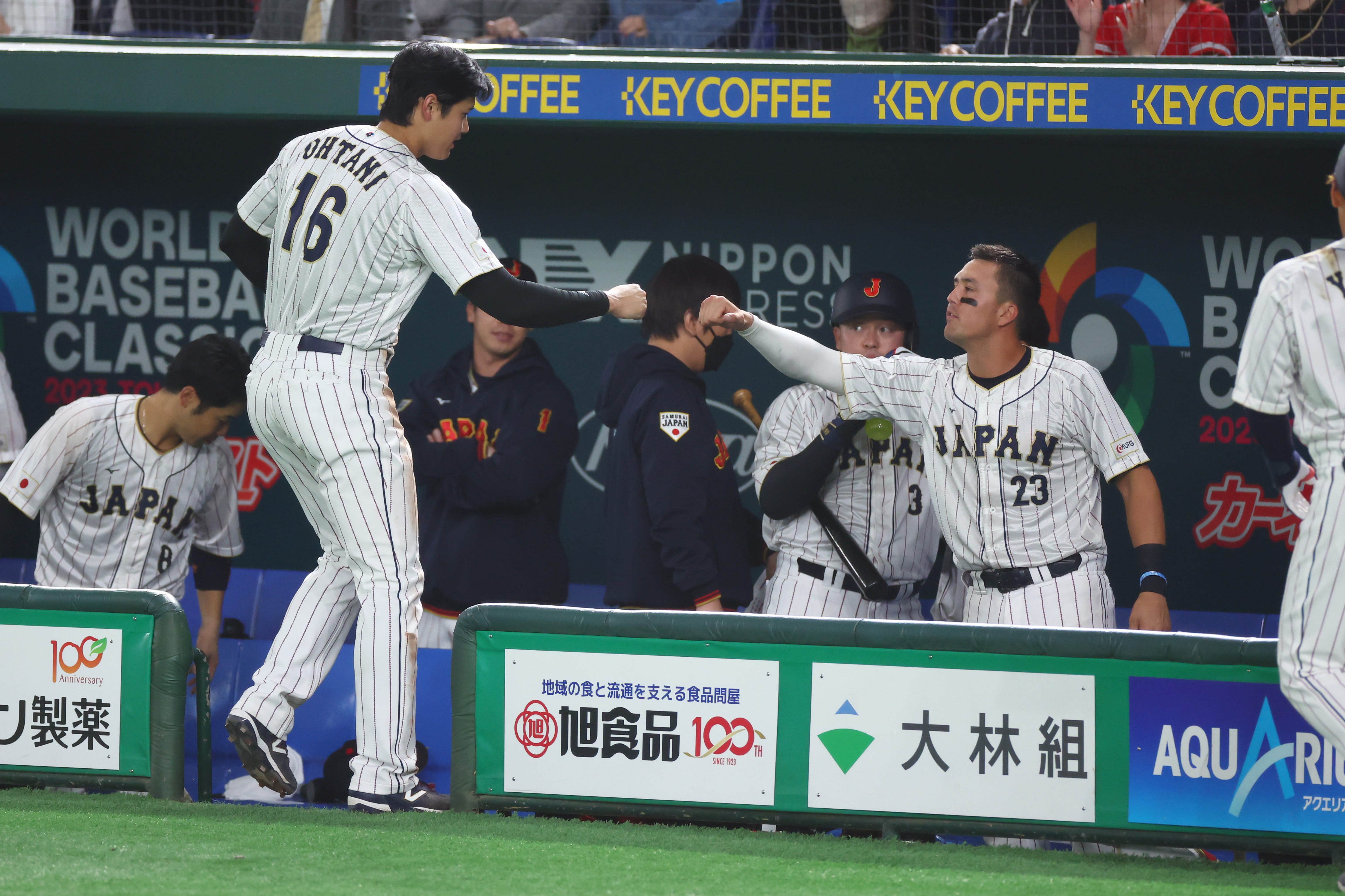 祝 日本優勝！ WBC2023の注目ケミ・大谷翔平×ラーズ・ヌートバー選手