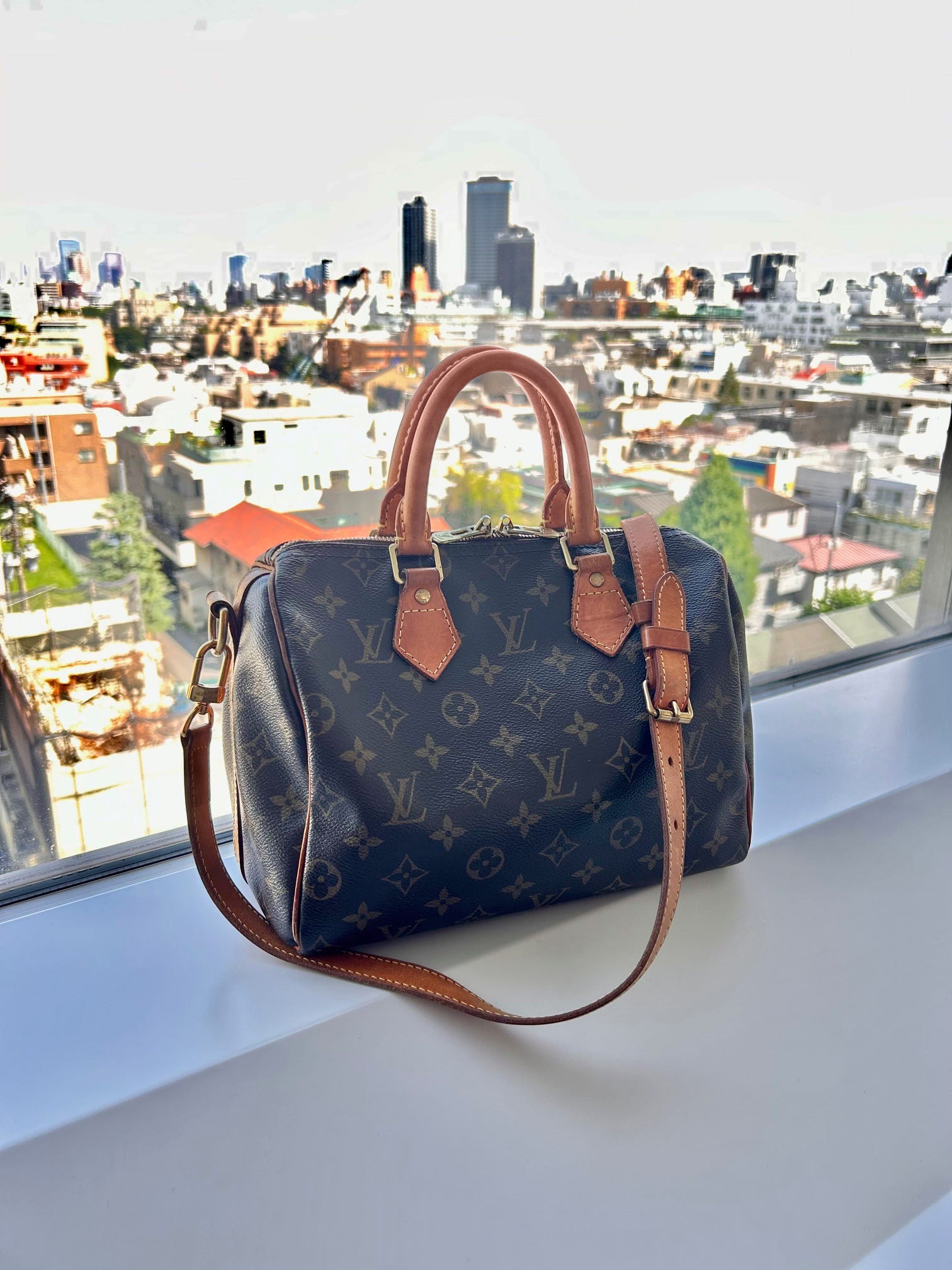 LOUIS VUITTON ルイ ヴィトン モノグラム サックシャスール55 ボストン