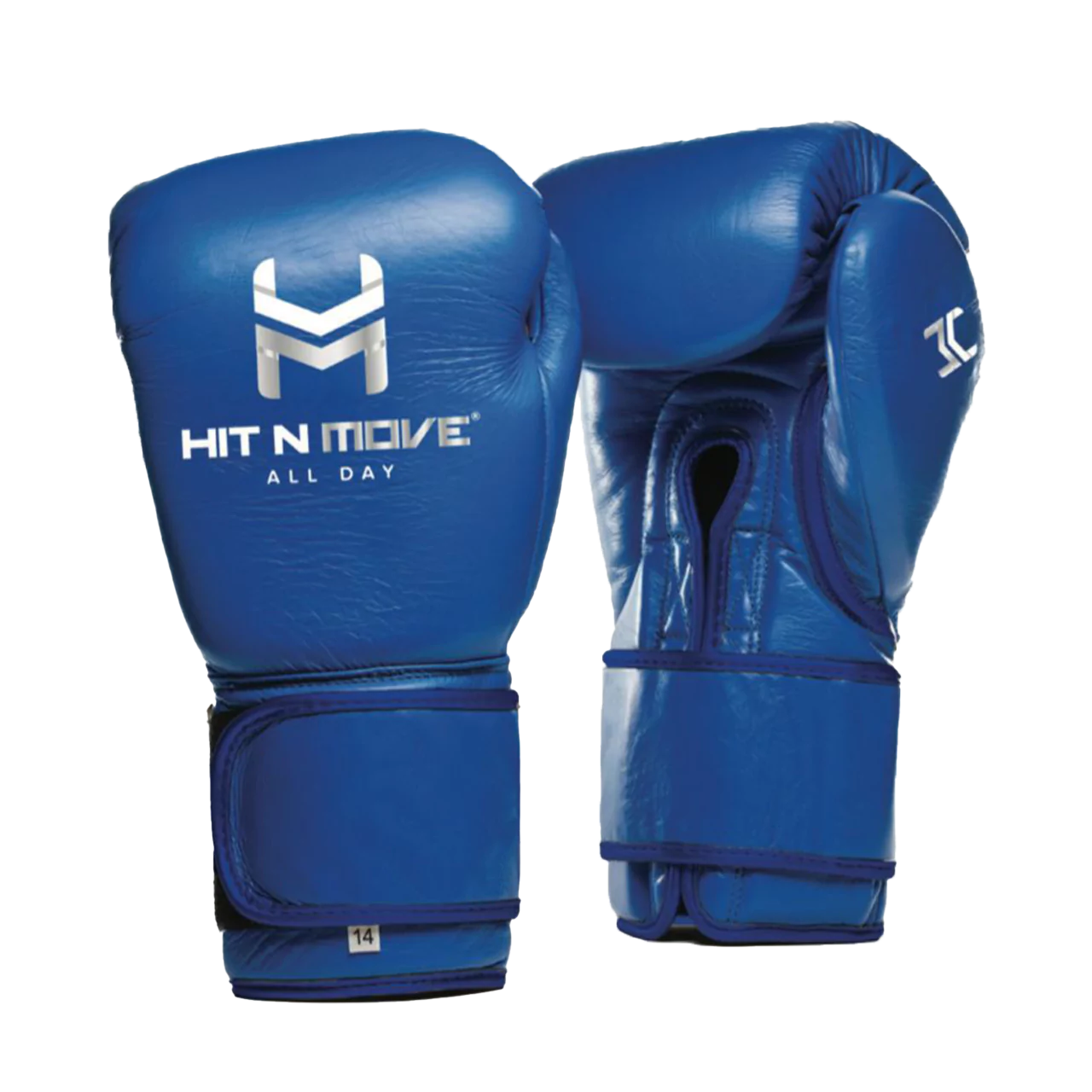 All Day Pro Balance 16 oz Boxing Gloves | HIT N MOVE