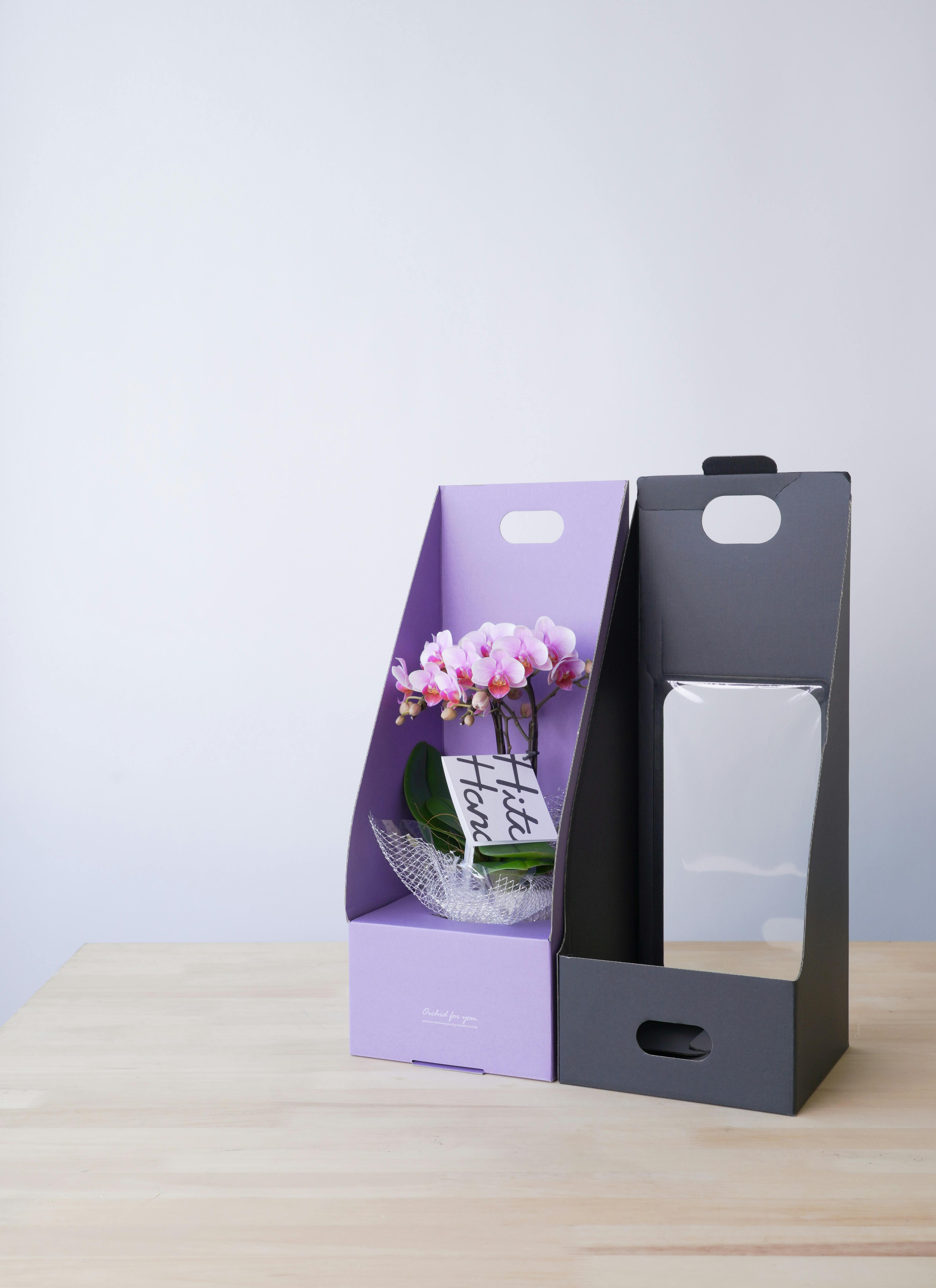 お供え】ミニ胡蝶蘭 ピンク 2本立ち 2WAYボックス | 胡蝶蘭なら
