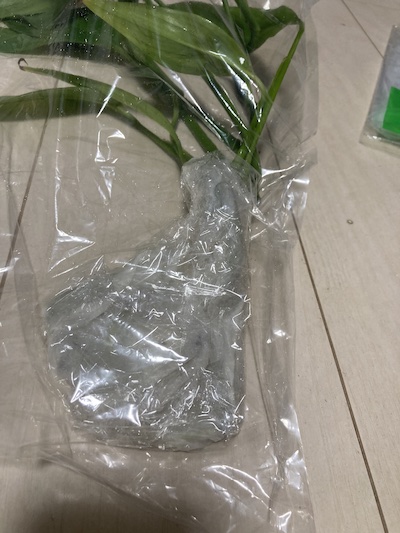 メルカリで植物が売れた！梱包はどうする？第四種郵便って何