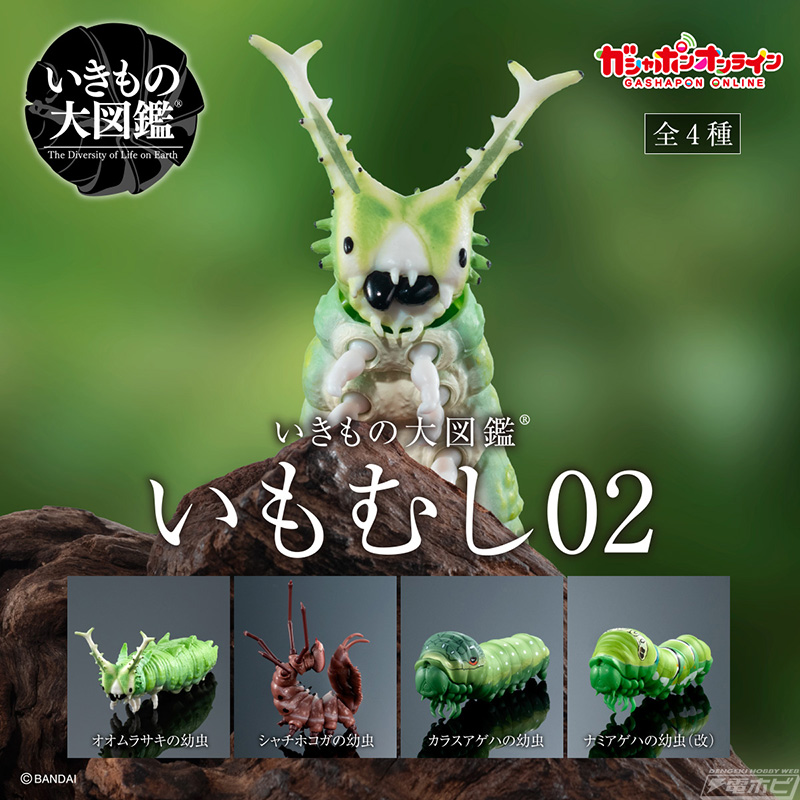 角がウサギの耳のようで可愛い「オオムラサキの幼虫」を収録