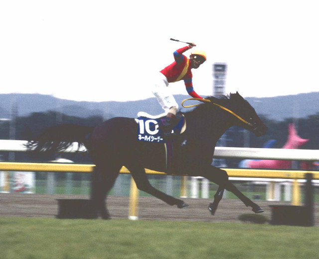 94年天皇賞・秋優勝のネーハイシーザー死亡 日本レコード2度の快速