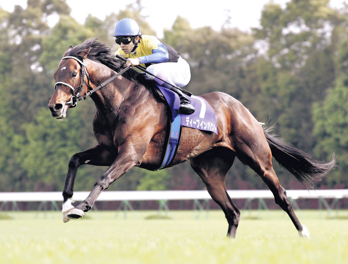無敗3冠馬ディープインパクト、天国へ飛ぶ 武豊「人生において本当に