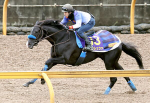 第147回天皇賞（春） フェノーメノ 第147回天皇賞（春） フェノーメノ