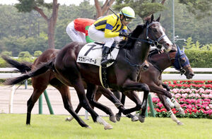 新潟5R・2歳新馬戦】マスカレードボール大外一気で快勝 マスクト