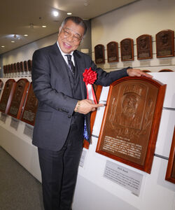 ミスタータイガース ・掛布雅之氏 エキスパート表彰で殿堂入り「自分