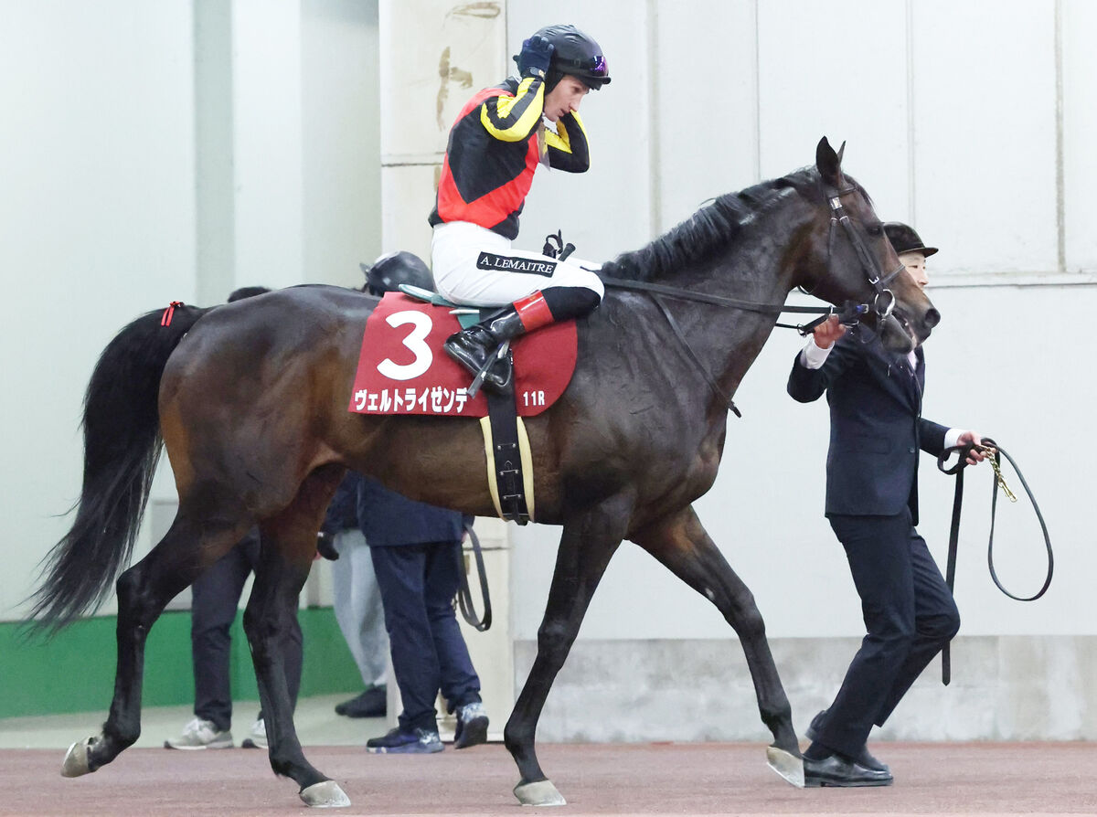 重賞2勝の8歳馬ヴェルトライゼンデは760万円で落札 サラブレッド
