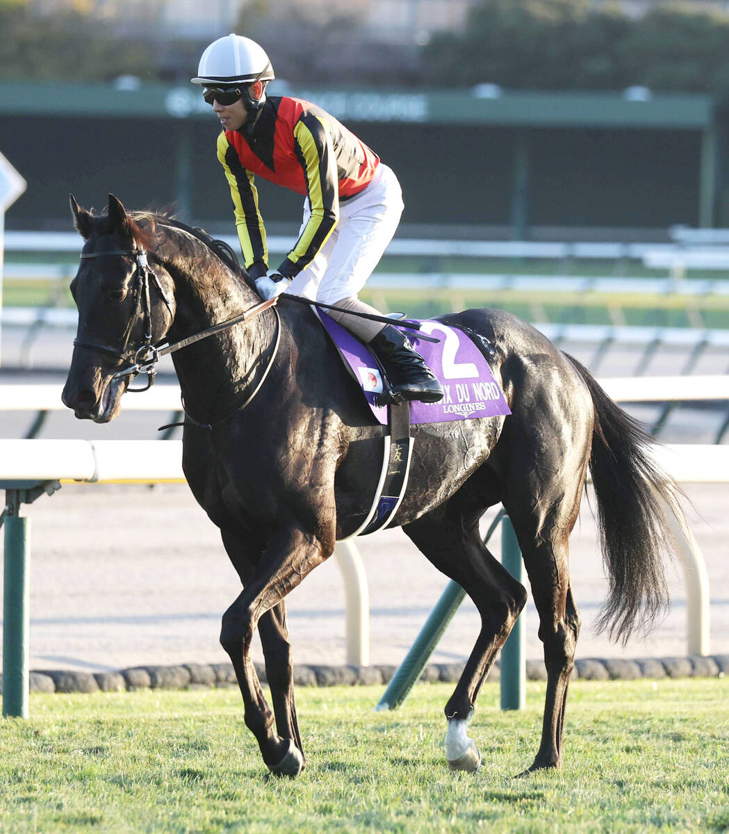ジャパンC】ダービー馬のクロワデュノール直線失速4着 北村友一騎手