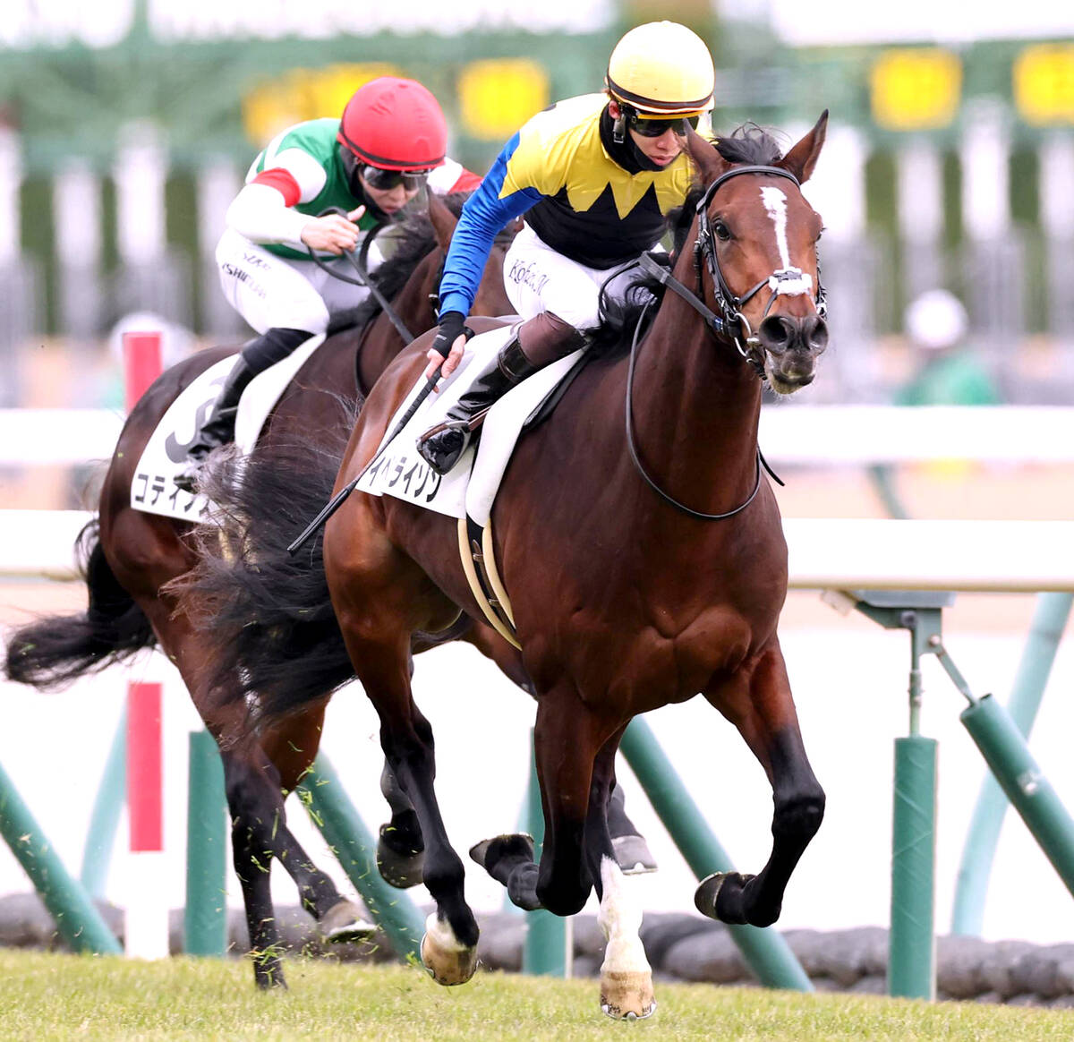 中京5R・2歳新馬】「最後は馬なりでした」松山弘平騎手が高評価の