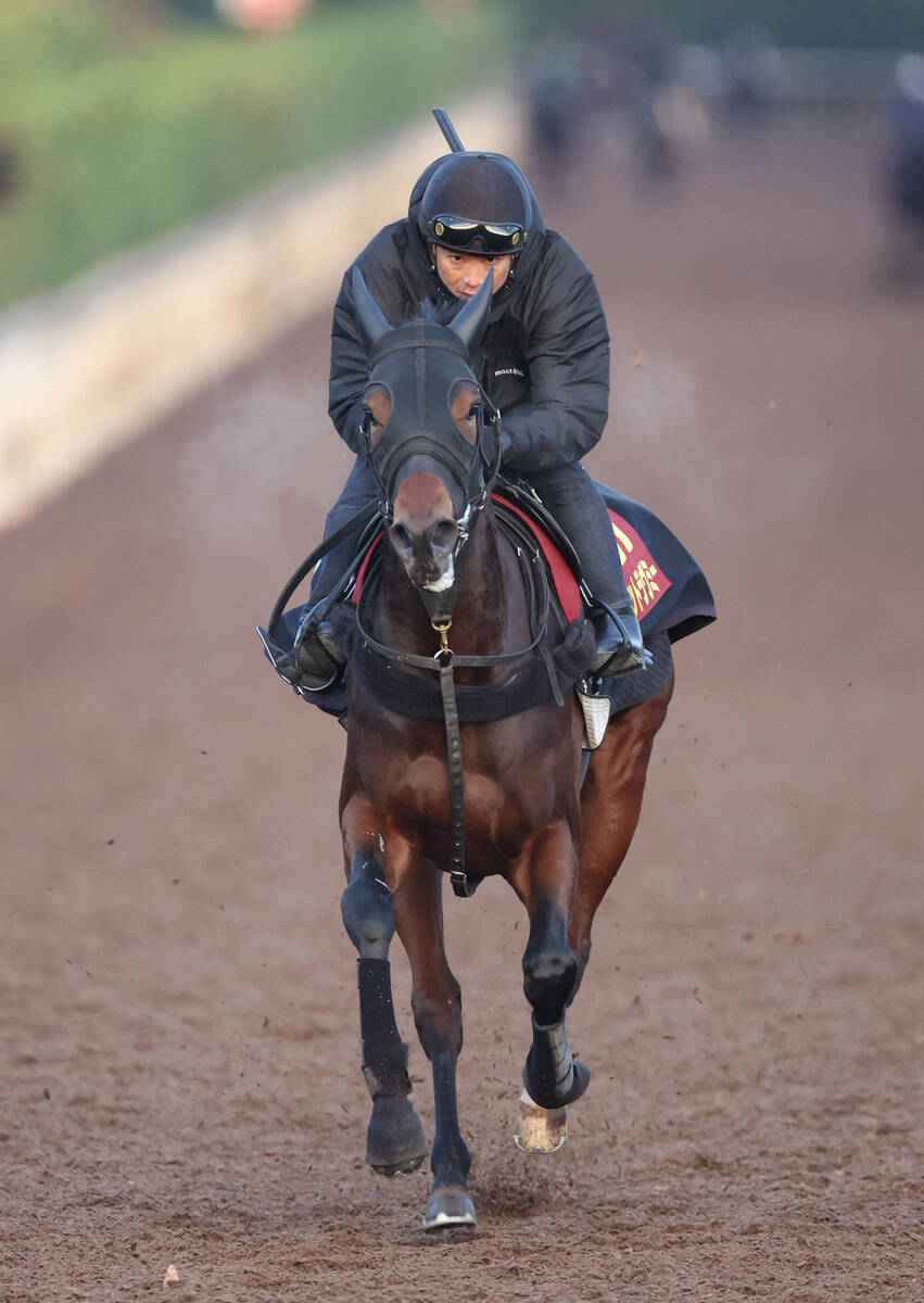 ヤマタケの日曜注目馬【阪神11R・阪神JF】 - スポーツ報知