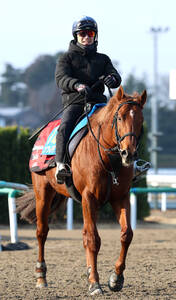 94年天皇賞・秋優勝のネーハイシーザー死亡 日本レコード2度の快速