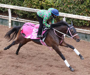 天皇賞・春】冷静に最強ライバル撃破 武豊92年メジロマックイーンで