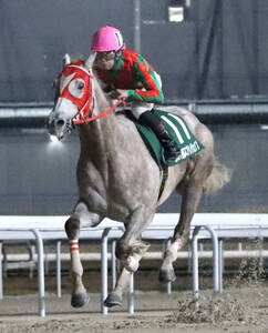 安田記念、マイルCS優勝のノースフライトが天国へ 28歳 - UMATOKU