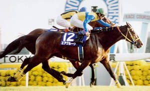 94年天皇賞・秋優勝のネーハイシーザー死亡 日本レコード2度の快速