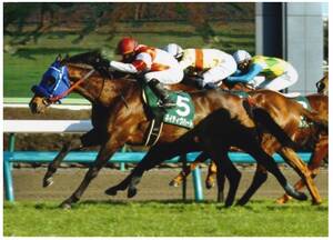 2002年皐月賞馬のノーリーズンが25歳で死す 「ウマ娘」にも登場