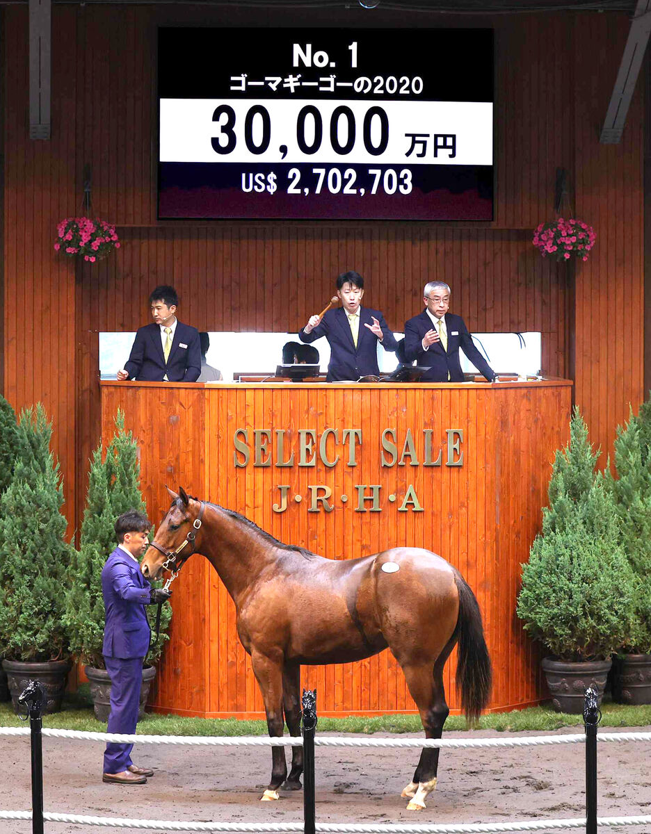 セレクトセール1歳】ディープインパクト最終世代の最高額は3億円