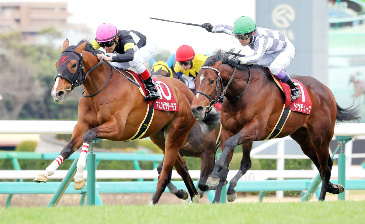 報知杯弥生賞】アスクビクターモアが重賞初挑戦V ディープインパクト
