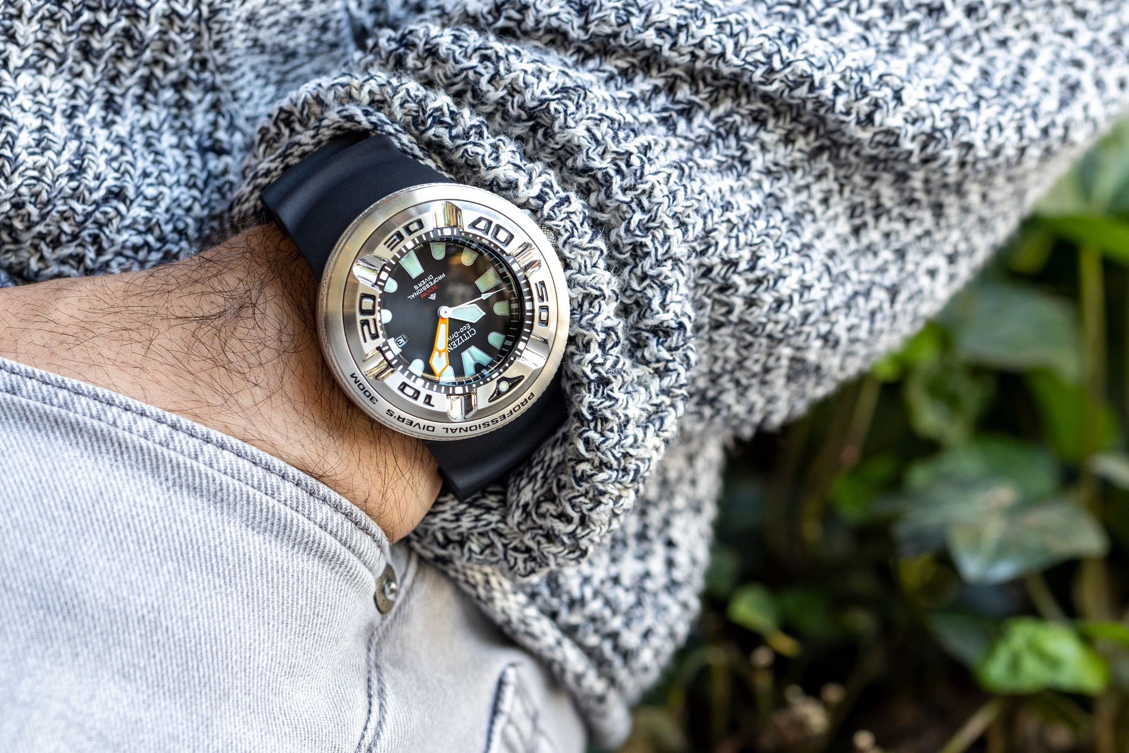 Value Proposition The Citizen Promaster Professional Diver 300M