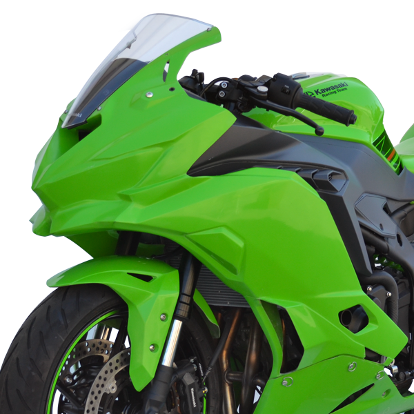 Norton Racing Steering Stop with 'Impact Zone' – Kawasaki ZX4RR