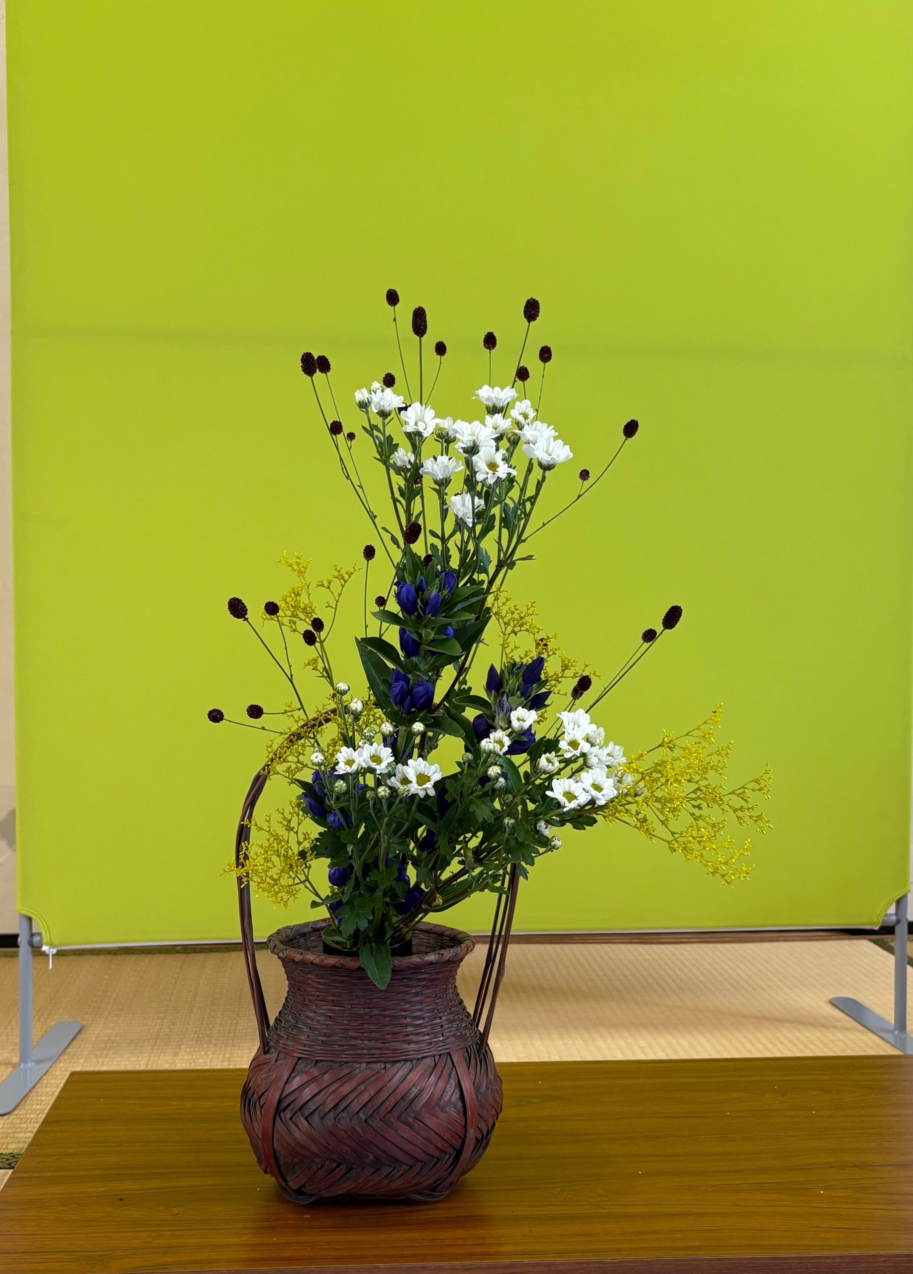 AC12DD50-82A2-4FC1-93B1-