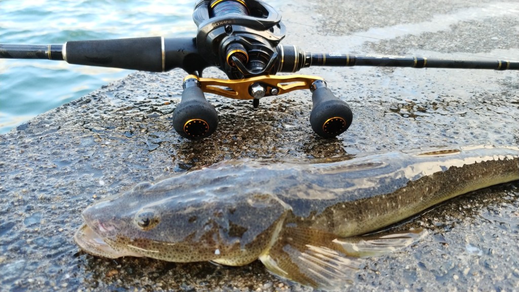 ロキサーニパワーシューターを本気でインプレ｜1年使って出た答えと