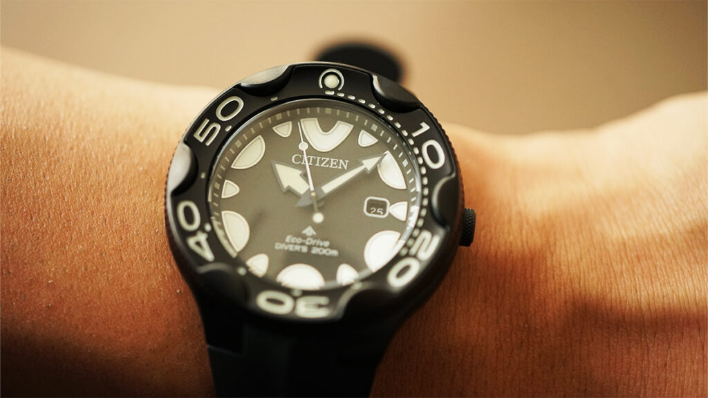 シチズン BN0235-01E】オルカモチーフと夜光の魔術、エコ・ドライブの