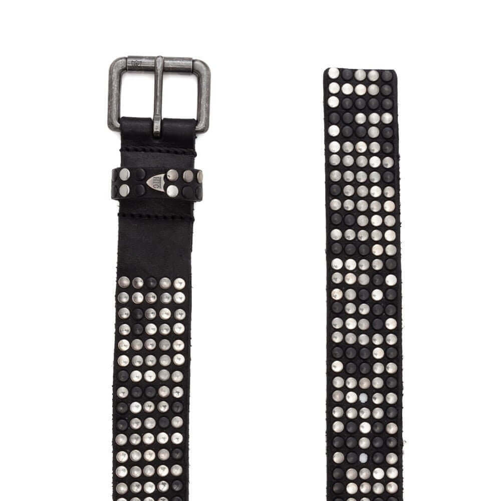 5.000 STUDS BELT Hollywood Trading Company