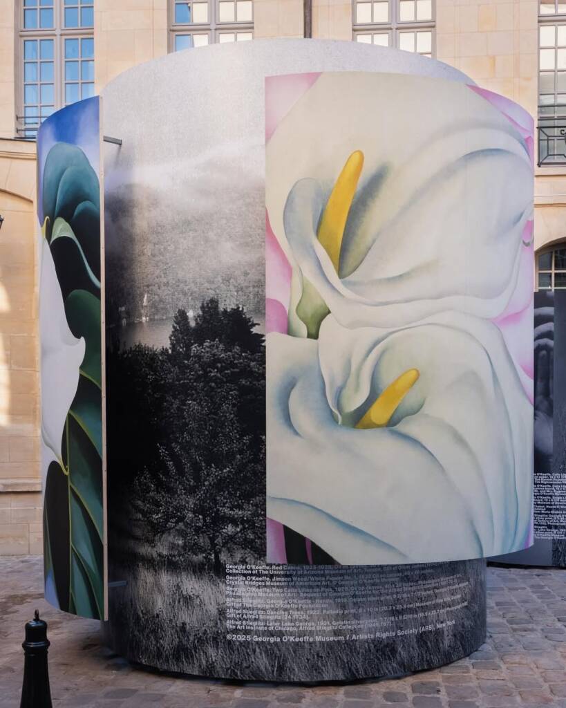 Dover Street Market Paris unveils Georgia O'Keeffe installation by