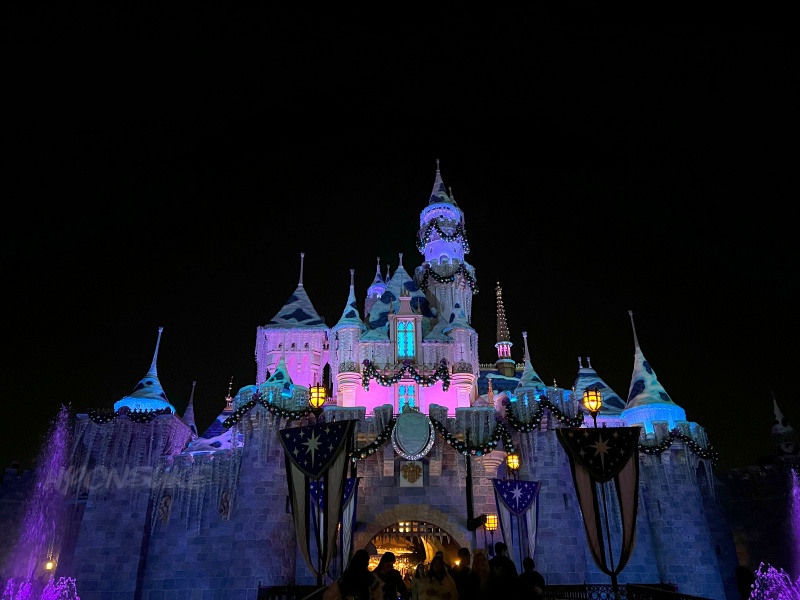 DLR＆DCL】「シンデレラ城」ならぬ「眠れる森の美女の城」美しい