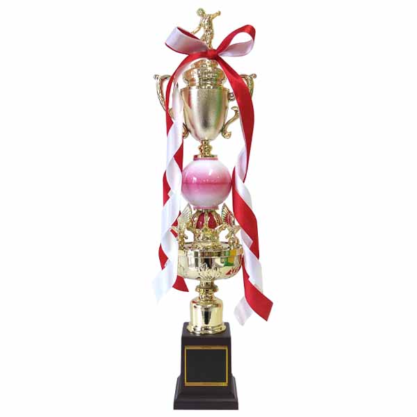 チャンピオントロフィー | トロフィー・メダル・優勝カップならichikawa-sk