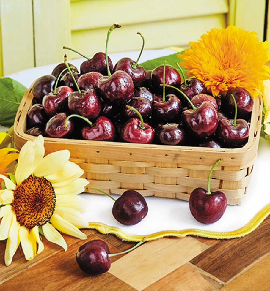 アメリカのお土産‧ギフトに新鮮なフルーツを日本に直送-IACE FRESH CHOICE