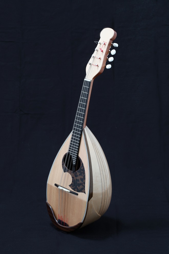 野口マンドリン | 絃楽器のイグチ