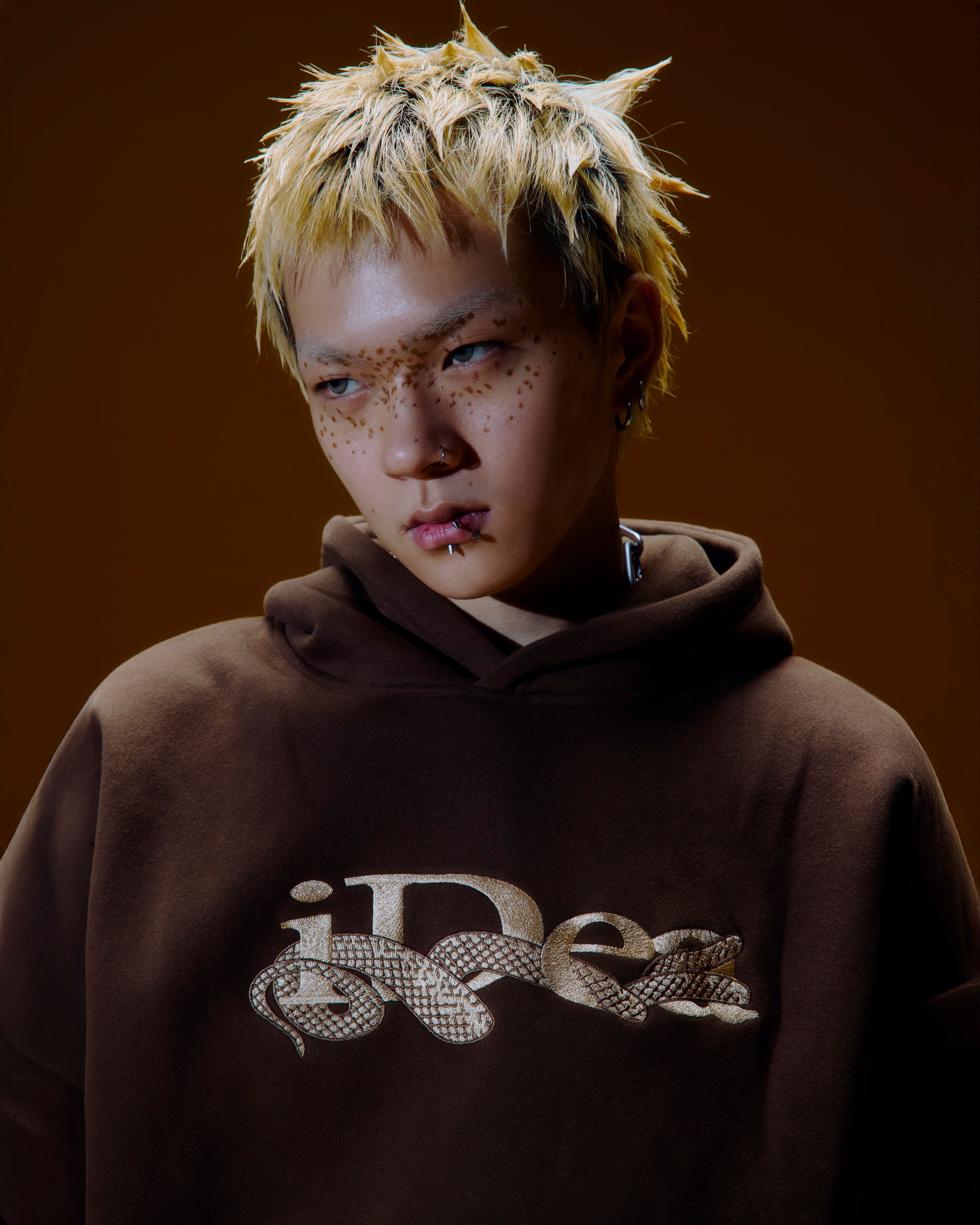 OUROBOROS HOODIE (Brown) 25AW – IDEASWAM