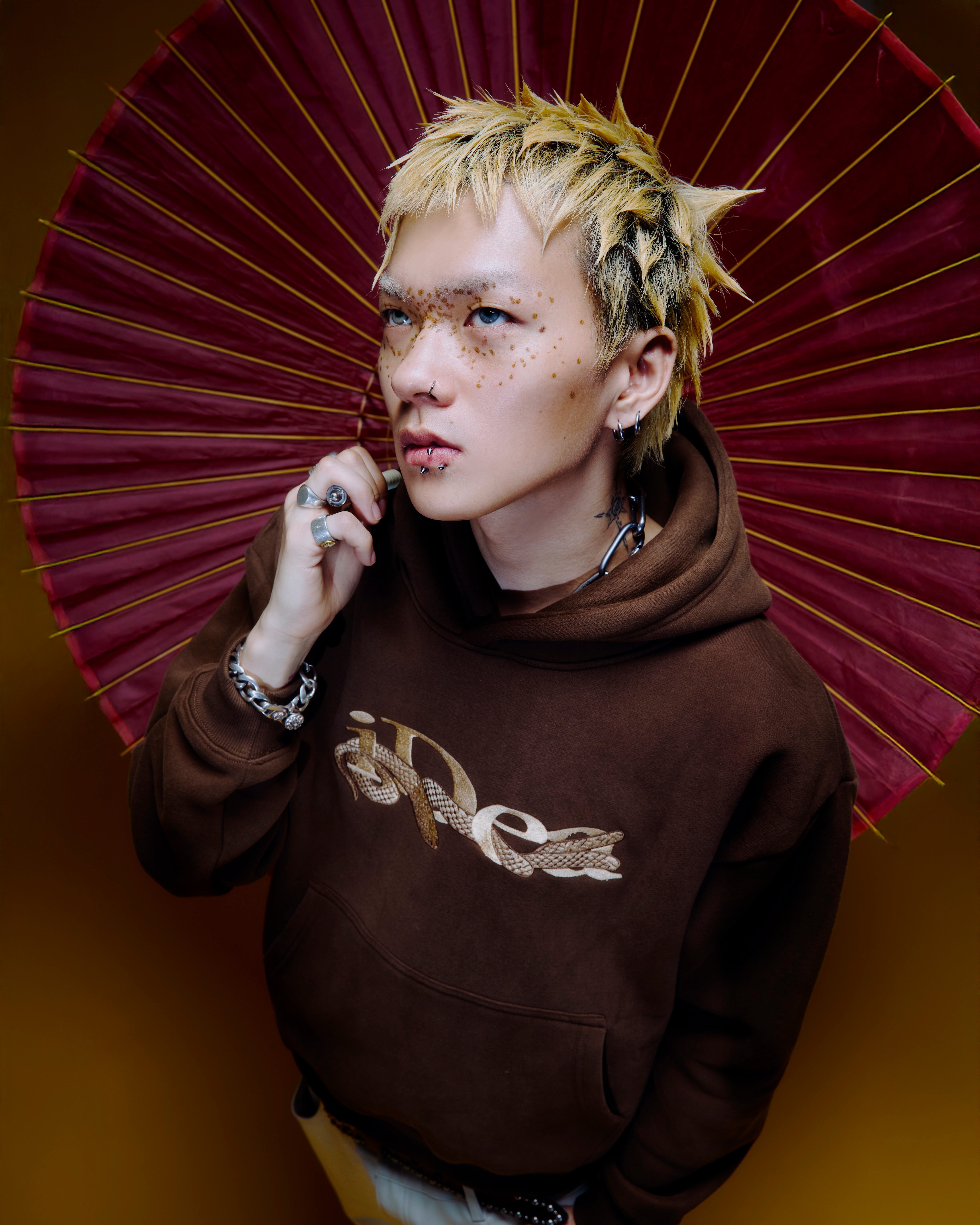 OUROBOROS HOODIE (Brown) 25AW – IDEASWAM