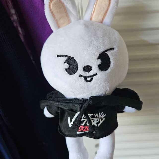 Leebit Plush: Lee Know Stray Kids Skzoo Doll - Etsy Norway