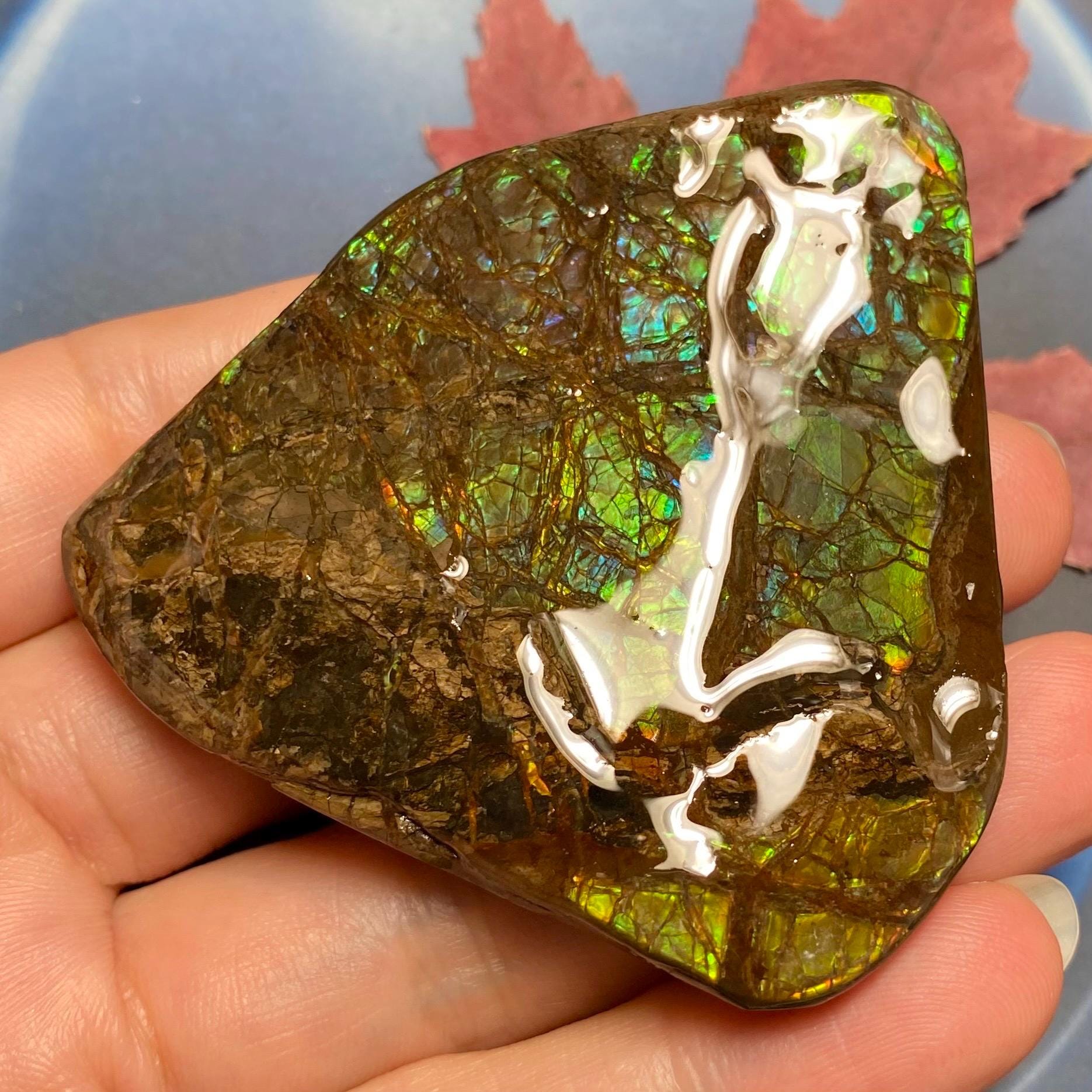 カナダ産アンモライト標本：虹色化石（62X59X11 MM） - Etsy 日本