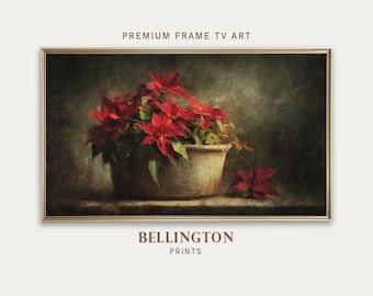 素朴なポインセチアの静物画：クリスマスTVアート（デジタル