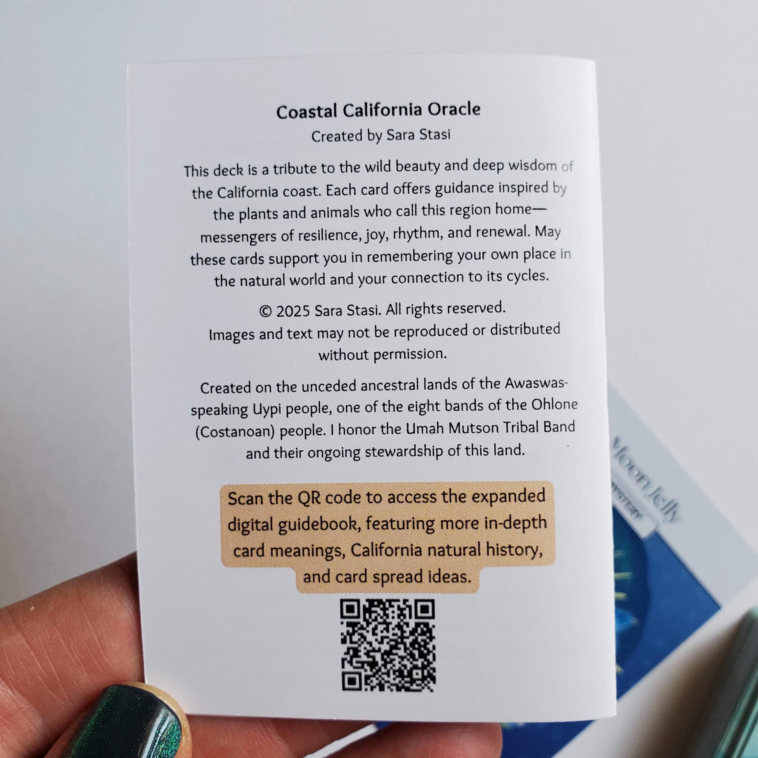 Coastal California Oracle – 54 Card Ocean & Wildlife Inspired Deck