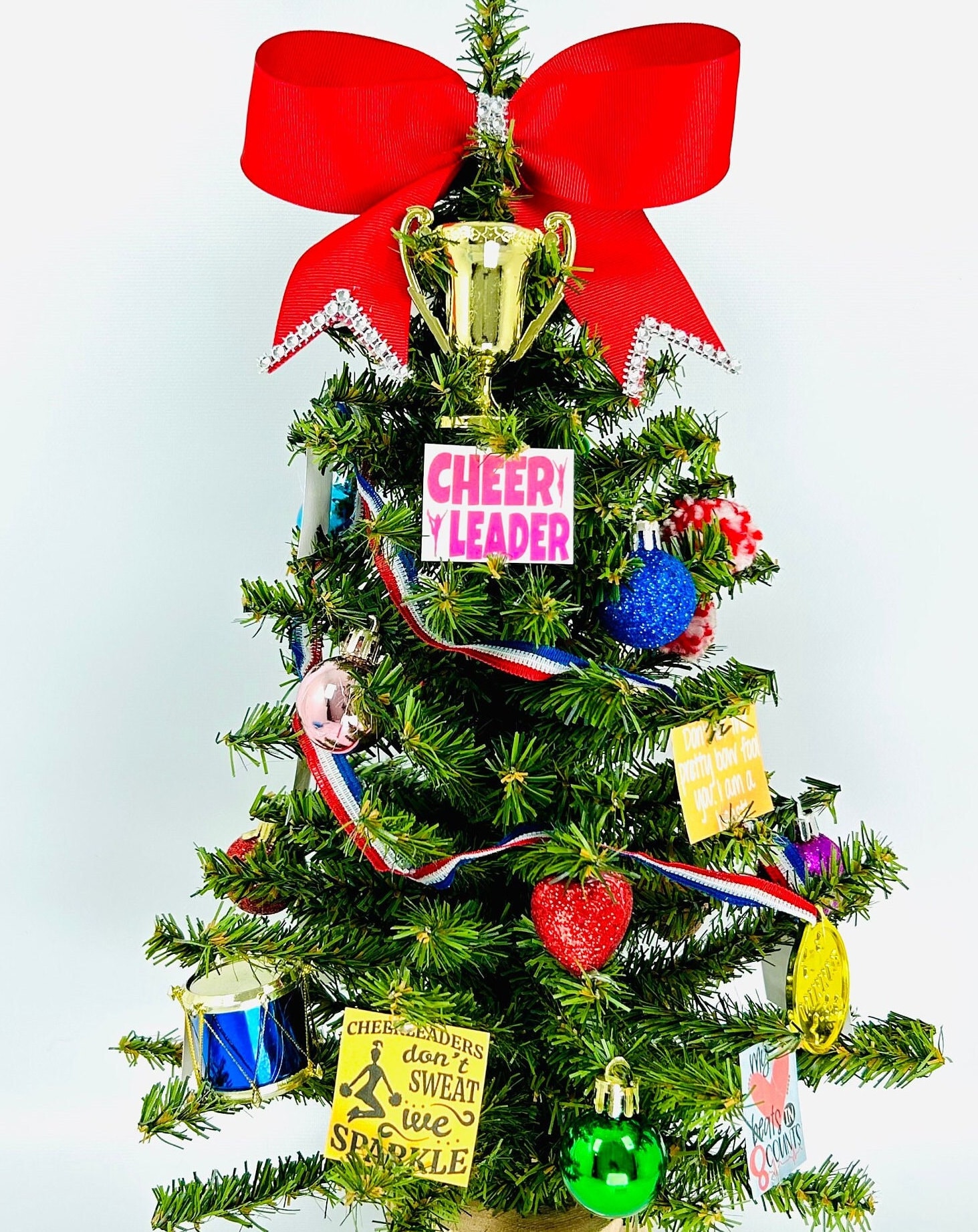 Cheer / Cheerleading / Cheerleader Themed 18