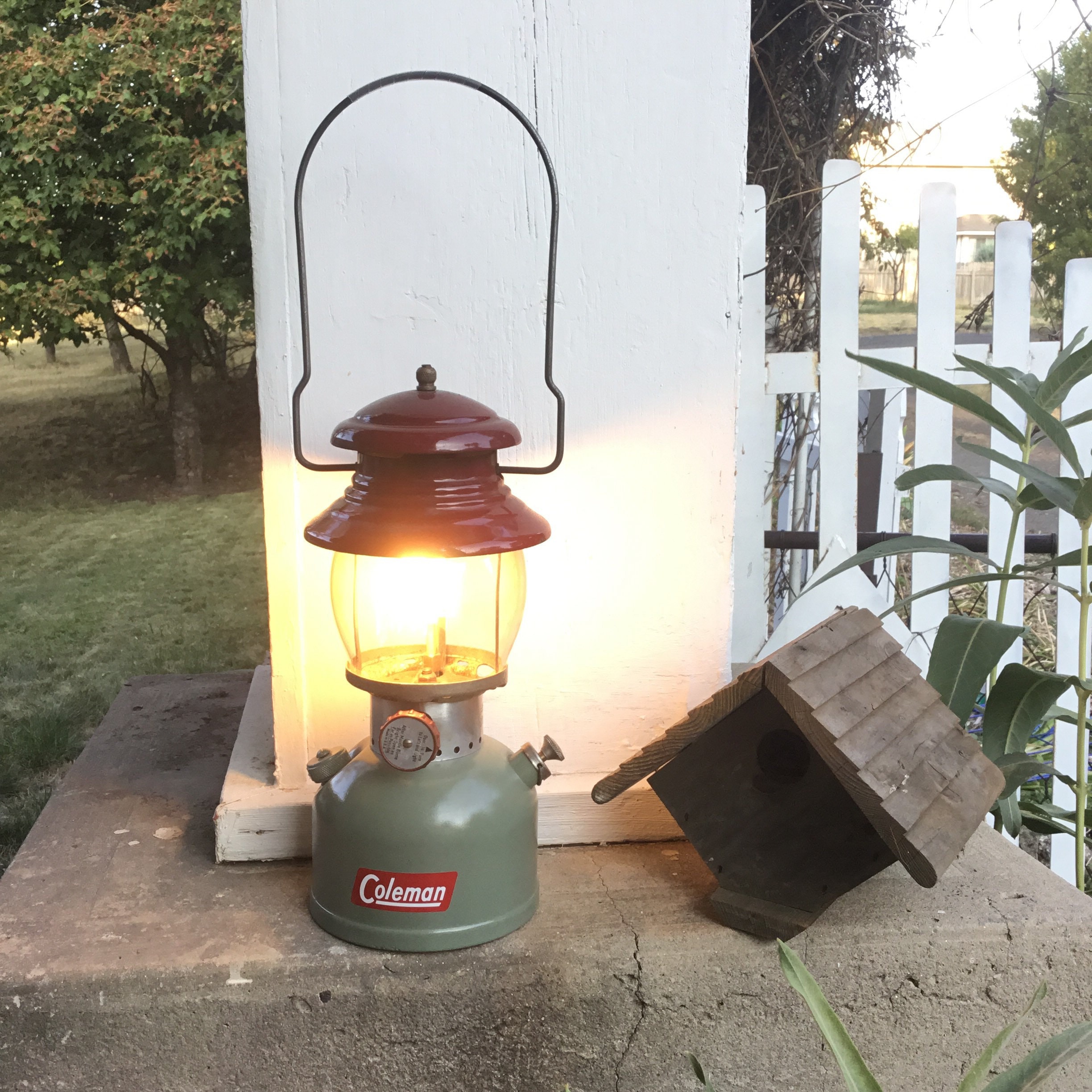 Custom Color 200A Single Mantle Coleman Lantern * Rustic Cabin