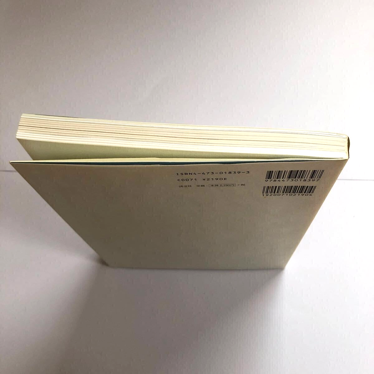 Nara Yoshitomo I Don't Mind If You Forget Me by Taro Amano for