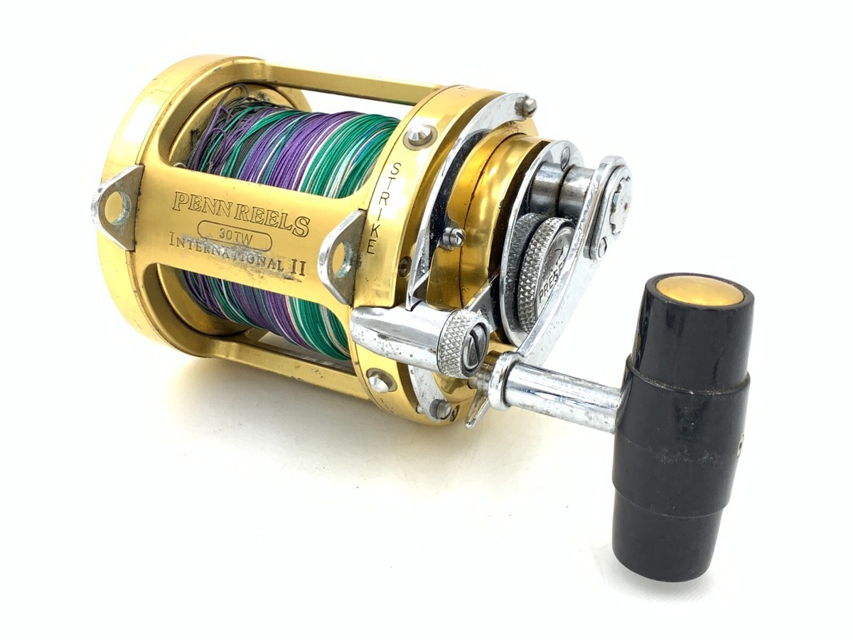 PENN ペンリール インターナショナルⅡ 50TW クロマグロ泳がせ モロコ
