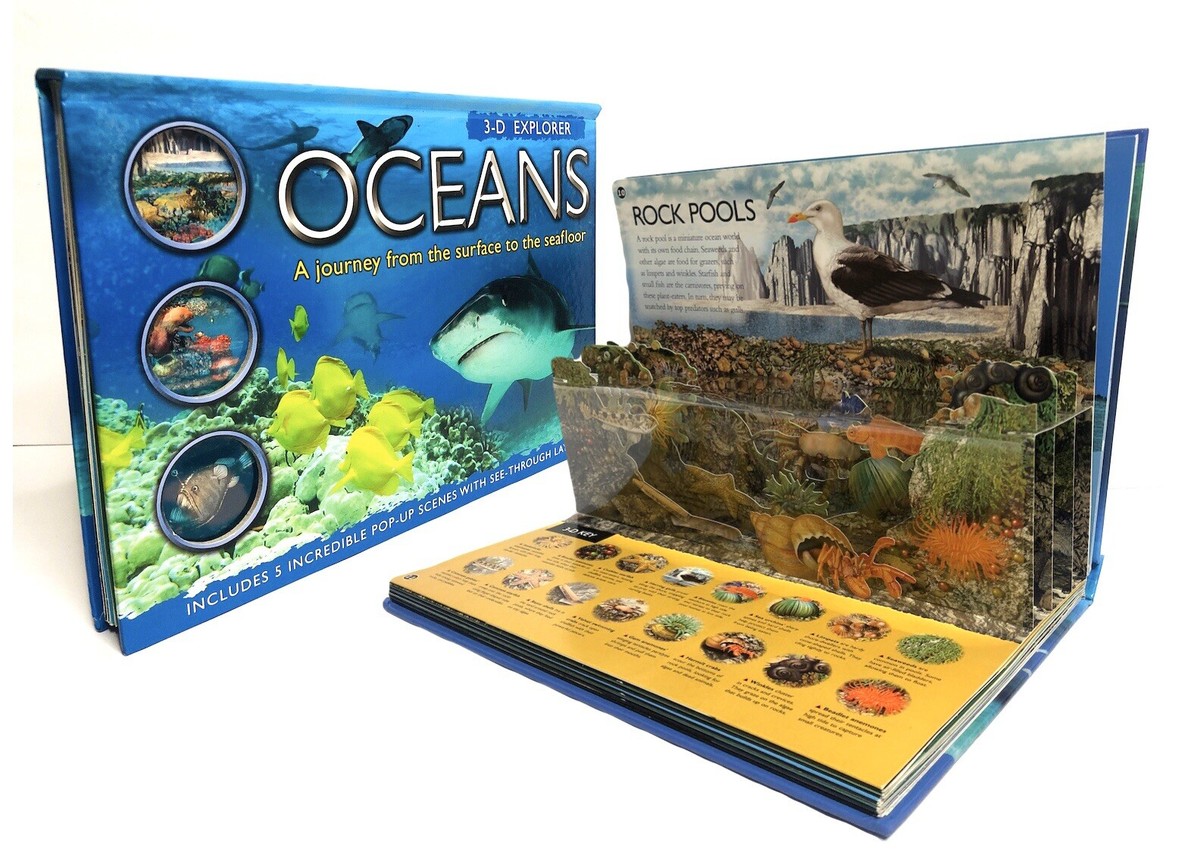 3-D Explorer: Oceans Pop Up Book by Jen Green Hardcover