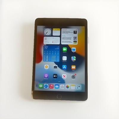 Apple iPad Mini 4 128GB Wi-Fi + Cellular Unlocked – Gray