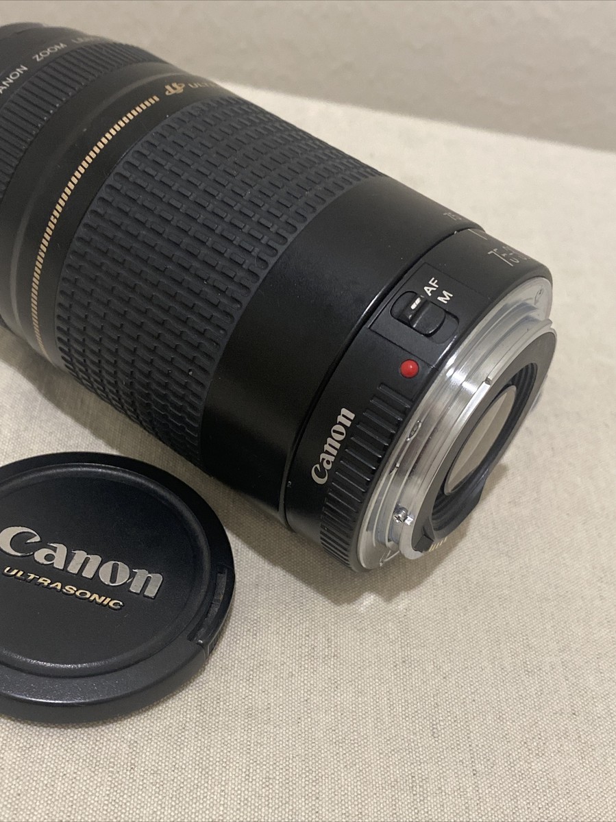 Canon EF 75-300 mm 1:4-5.6 II Ultrasonic Zoom Lens | eBay