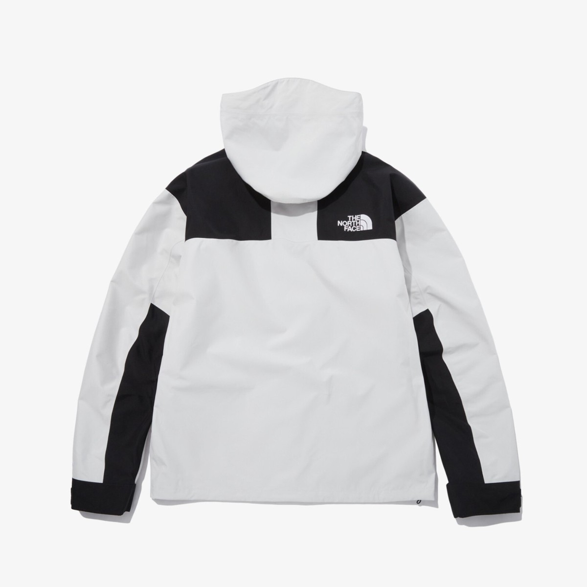 The North Face Korea GTX GORE-TEX MTN JACKET NJ2GP70C WHITE ASIAN