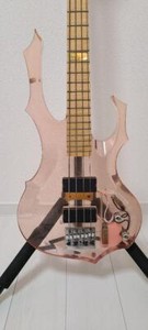 Esp Forest | eBay